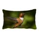 thumbnail image 1 of Funda de almohada ABPHQTO Colibrí Volando Verde Natural Protector de almohada Cama 50x75 cm, 1 of 1