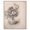 White Frame, variant on Flowers in a Pitcher Canvas Vintage Botanicals by Art Remedy, Gallery Wrapped, 20" x 24"