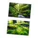 thumbnail image 2 of Fondo para fotografía, terrarios de reptiles, papel decorativo Estilo a, 2 of 9