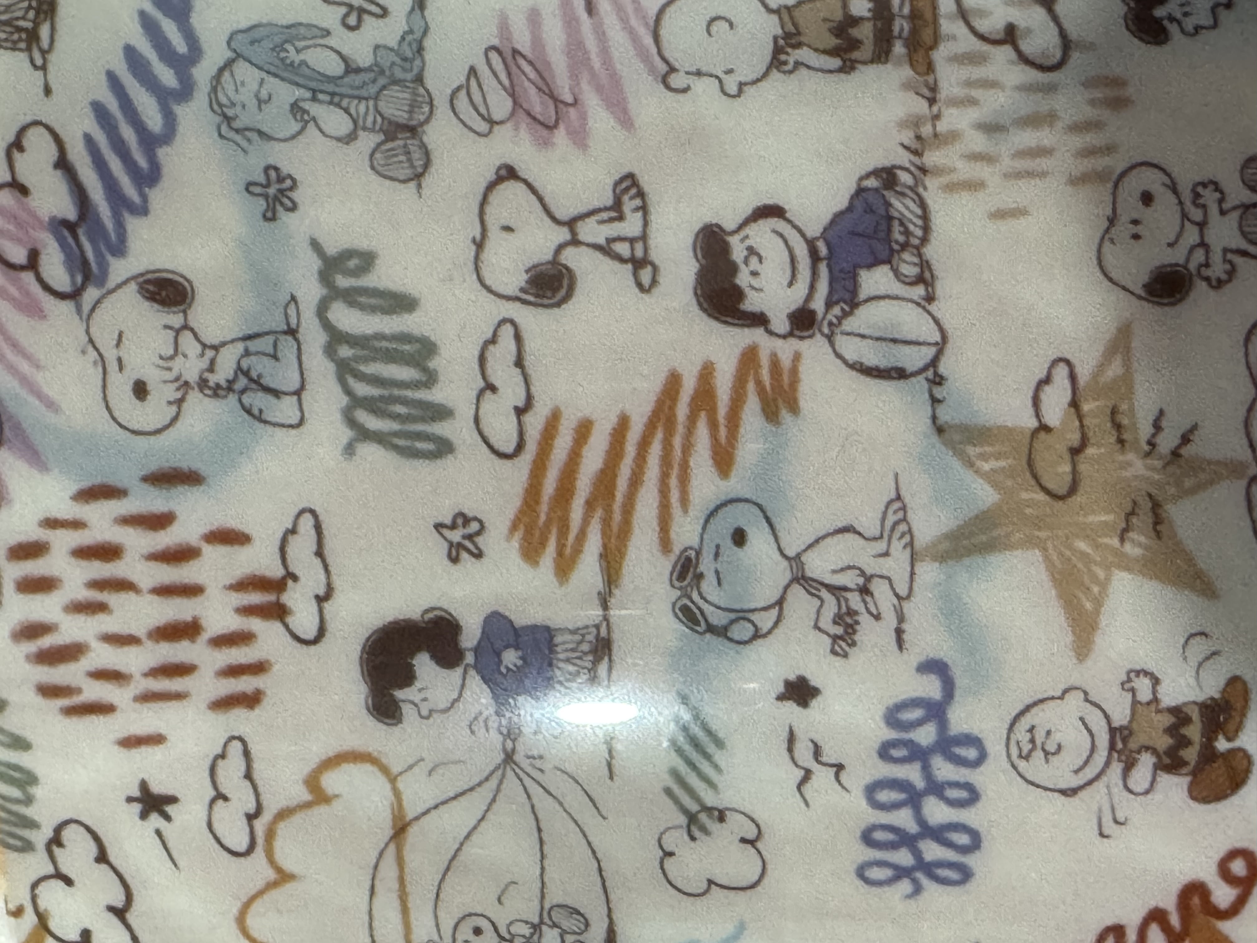 Peanuts Snoopy  Oversized Supersoft Plush Throw Blanket