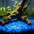 thumbnail image 6 of Ke1Clo Glow in The Dark Aquarium Pebbles, 100 Pcs Fluorescent Stones Substrate Decor, Luminous Aquascaping Gravel for Fish Tank Vase Gardening, Light Blue, 6 of 6