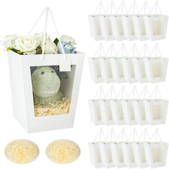 24PCS White Gift Bags Clear Gift Bags with Handle, Goodie Bags Shopping Bag With 2PCS Paper Raffia Shreds Crinkle, Kraft Party Favor Bags Medium Size for Festivals Graduation Wedding Present