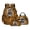 Pink-Leopard Print, variant on Tutolipy Golden Retriever School Backpack Set with Lunch Bag Pencil Case 3 Pcs Floral Printed Backpack and Lunch Box Set for Boys Girls Lightweight Schoolbag Bookbag Set, Purple