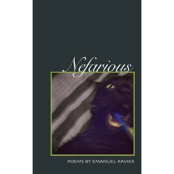 Nefarious : Poems (Paperback)