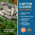 thumbnail image 5 of Dr. Tobias Colon 14 Day Cleanse, Advanced Gut Cleanse Detox for Women & Men with Cascara Sagrada, Psyllium Husk & Senna Leaf, Non-GMO Colon Cleanse, 28 Capsules 1-2 Daily, 5 of 5