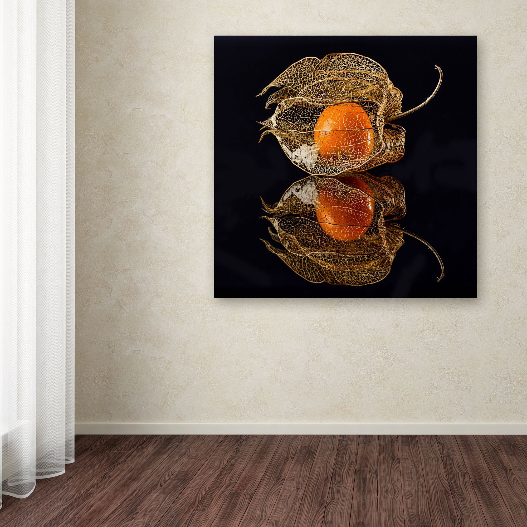 Trademark Fine Art 'Physalis' Canvas Art by Klaus Grosshanten