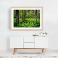 thumbnail image 5 of Shenandoah Ferns 02 - Virginia Photography Oak Framed Wall Art Print 16 x 24 inches, 5 of 6