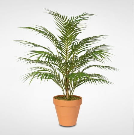 Real Touch Areca Palm Plant in a Small Black Clay Pot