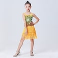 thumbnail image 3 of GYRATEDREAM Girls Latin Dance Dress Toddler Baby Tassel Salsa Dancewear Sequin Fringe Dress Kids Teen Modern Ballroom Cha Cha Dancer Outfits for 3-14 Years, 3 of 8