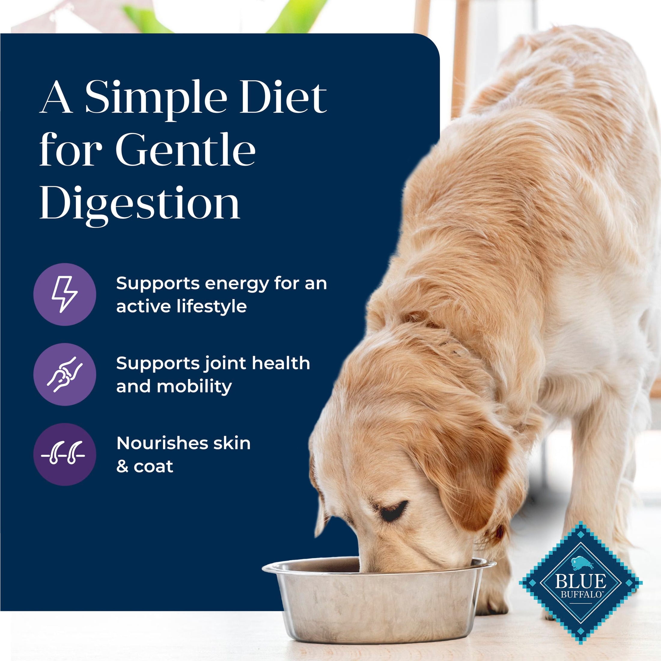 Blue Buffalo Basics Senior Dog Food, Skin & Stomach Care, Turkey, Chicken Free, 24lb Bag