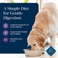 thumbnail image 5 of Blue Buffalo Basics Senior Dog Food, Skin & Stomach Care, Turkey, Chicken Free, 24lb Bag, 5 of 13