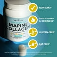 thumbnail image 2 of Amandean Premium Anti-Aging Marine Collagen Powder 17.6 Oz | Wild-Caught Hydrolyzed Fish Collagen Peptides | Type 1 & 3 Collagen Protein Supplement | Amino Acids for Skin, Hair, Nails, 2 of 9