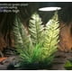 thumbnail image 2 of Planta de simulación de caja para mascotas trepadoras Simulación de adornos de césped acuático Pecera Paisaje Césped acuático ornamental de plástico Hojas solubles en agua en bambú, 2 of 3