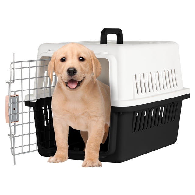 Jaula Transportadora Kennel Mascotas Caja Viaje Gato Perro