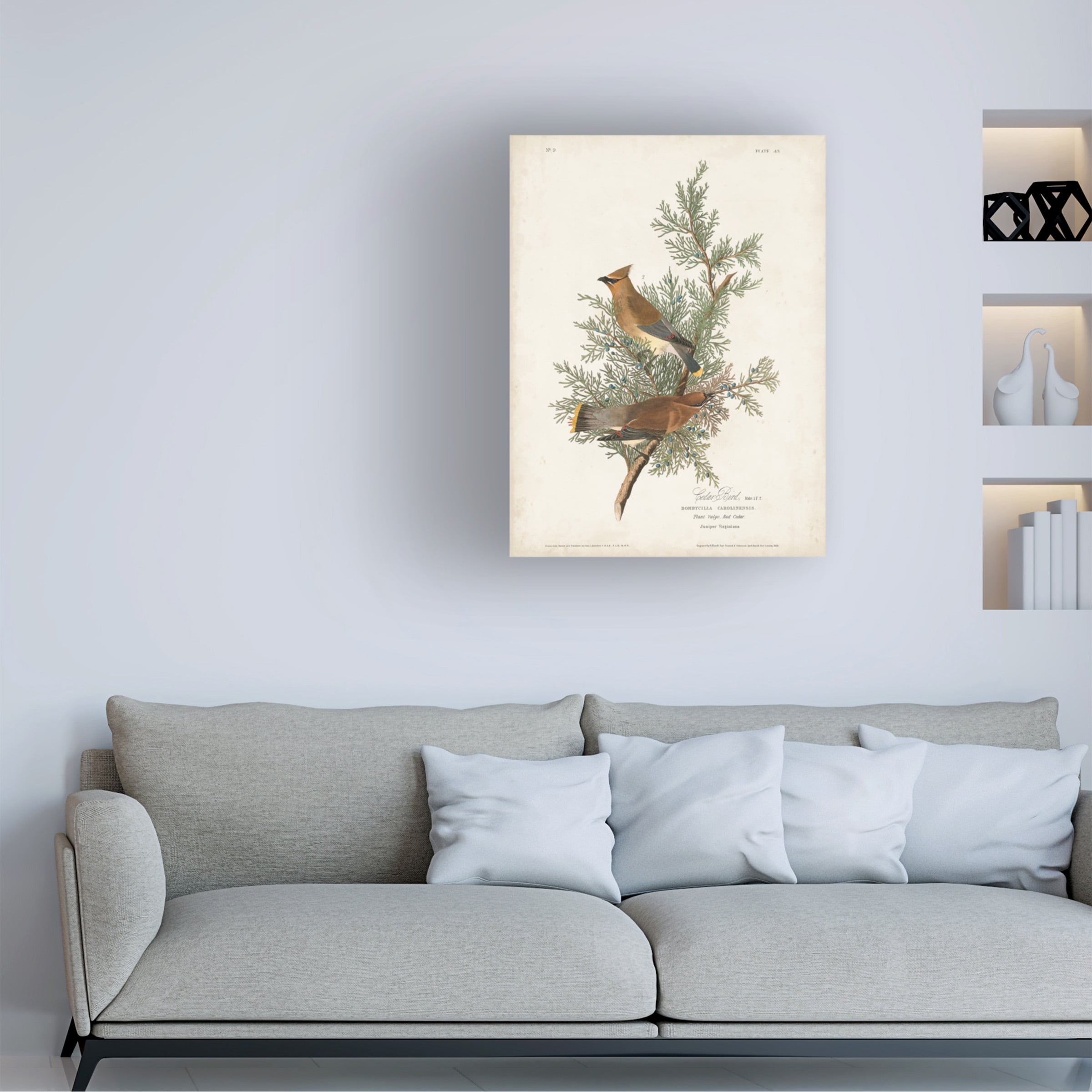 John James Audubon 'Cedar Bird' Canvas Art