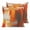 Orange, variant on Pillow Covers 16x16 Set of 2, Burnt Orange Brown Throw Pillow Covers Decorative Couch Cushion Cover, Farmhouse Ombre Abstract Mottled Art Microfiber Soft Pillowcases for Bedroom Living Room Sofa