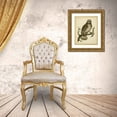 thumbnail image 3 of Nozeman 12x14 Gold Ornate Wood Framed with Double Matting Museum Art Print Titled - Antique Nozeman Owl II, 3 of 4