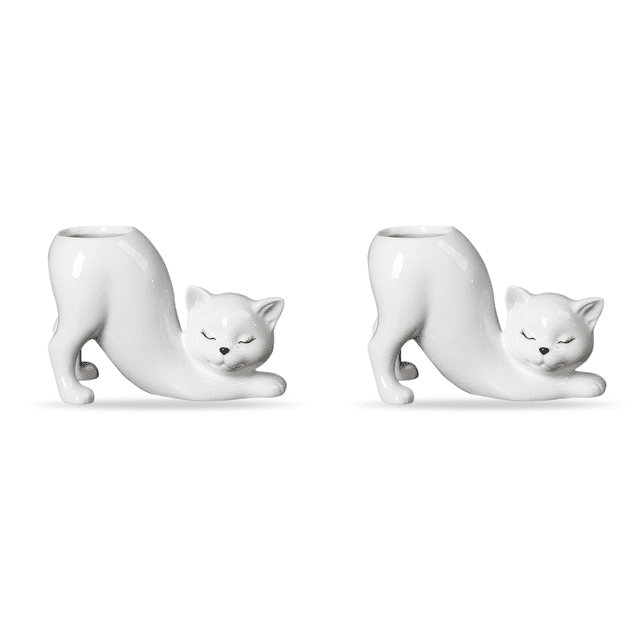 Maceta Suculenta Con Forma Gato Cerámica Lindos para Del Hogar() Color Blanco