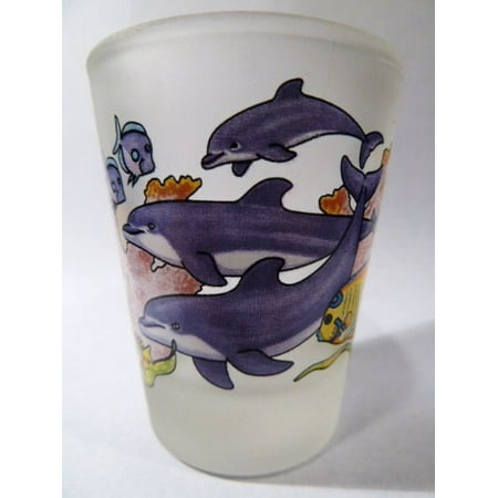 Make Jump Shot - Dolphins Jumping Frosted Caribbean Shot Glass