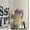 Clear C, variant on PTSPLLMY Glass Water Bottle With Time Marker Straw Infuser Cute 700ml Coffee Tea Juice Portable Girl School Drinking Bottle BPA Free Gift