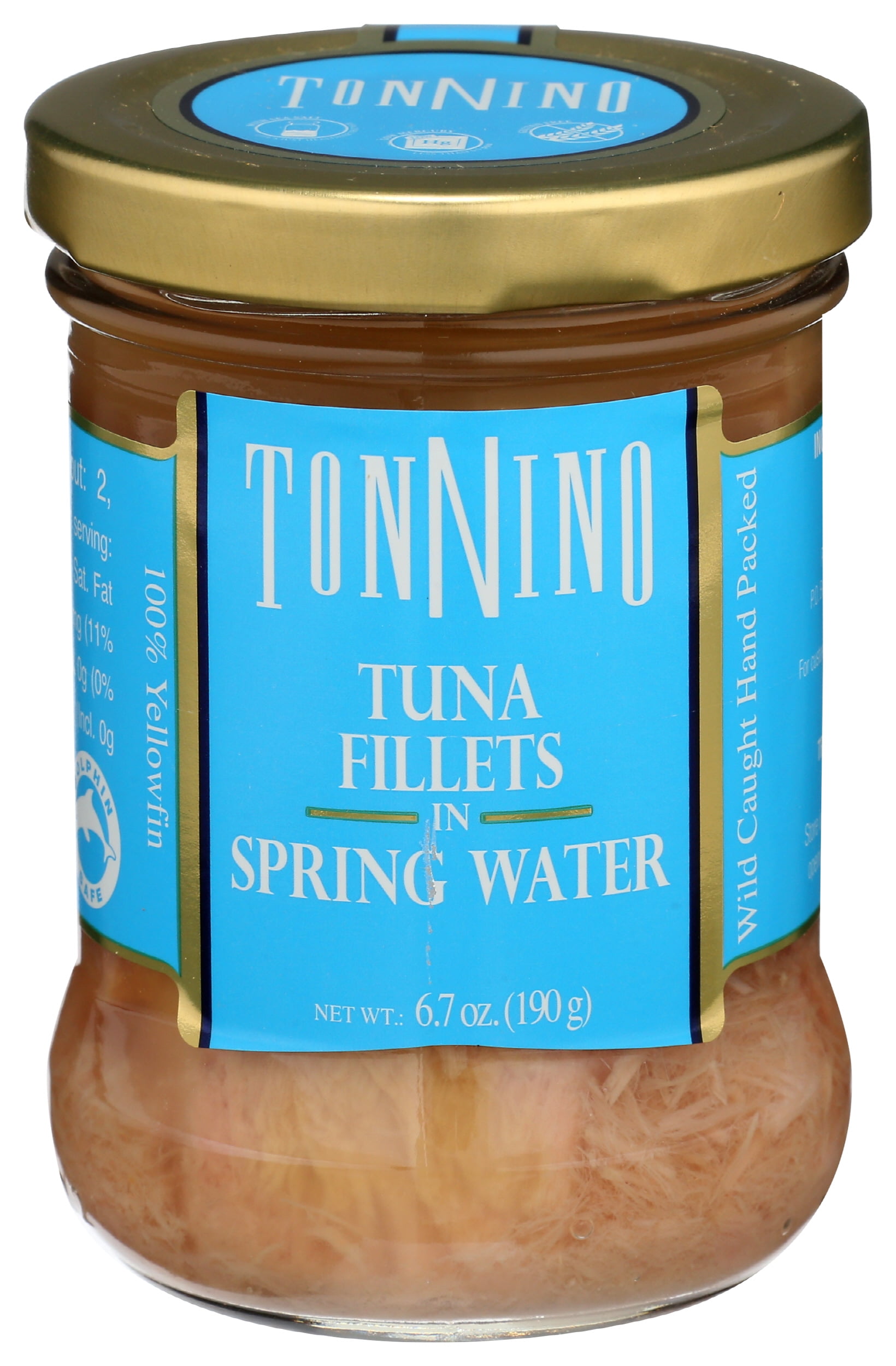 Tuna Fillet tuna-fillet