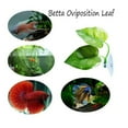 thumbnail image 1 of Boreal Craft Nouveau Lit de Repos pour Poissons Aquarium Tropical Livre de Coloriage pour Doigts, 1 of 6