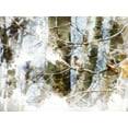 thumbnail image 2 of Young, Chamira 18x15 White Modern Wood Framed Museum Art Print Titled - Lost Bird II, 2 of 4