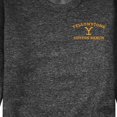 thumbnail image 3 of Yellowstone - Yellowstone Y Dutton Ranch Logo - Men's Crew Neck Fleece Pullover, 3 of 6