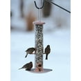 thumbnail image 2 of Audubon/Woodlink Copper Tube Feeder With Tray 7X8X9 Inch Copper NACOP, 2 of 4