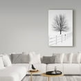thumbnail image 3 of Trademark Fine Art 'Along the Lane III' Canvas Art by Aledanda, 3 of 3