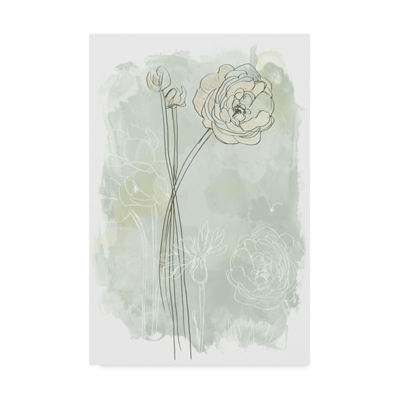 Trademark Fine Art 'Stone Flower Study III' Canvas Art by June Erica Vess