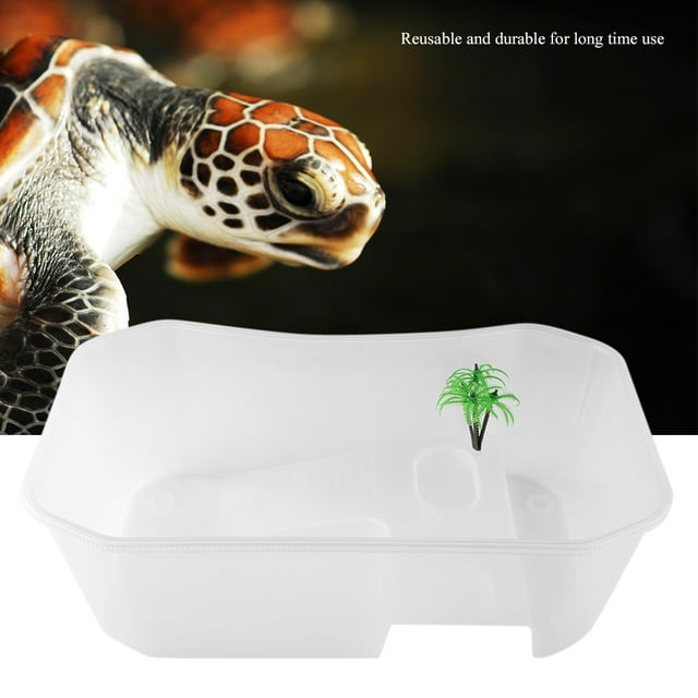 Portable Basking Platform Plastic Fish , Fish , Transparent For Home Fpr Ofiice Fish