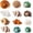 Model A, variant on Sinkoo 12PCS Hermit Crab Shells,Natural Sea Conch Size 1.6"-3.2",Growth Turbo for Small to Medium and Large Crabs, Saltwater Hermit Crab Supplies and Sea Shell for Beach Decor