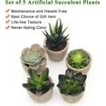 thumbnail image 4 of Artificial Succulent Plants Potted, Assorted Decorative Faux Succulent Potted Fake Cactus Cacti Plants with Pots, Set of 5, 4 of 5