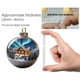 thumbnail image 3 of Rapeiae Natural Wonders Series Christmas Ball Flat Acrylic Pendant, 3 of 5
