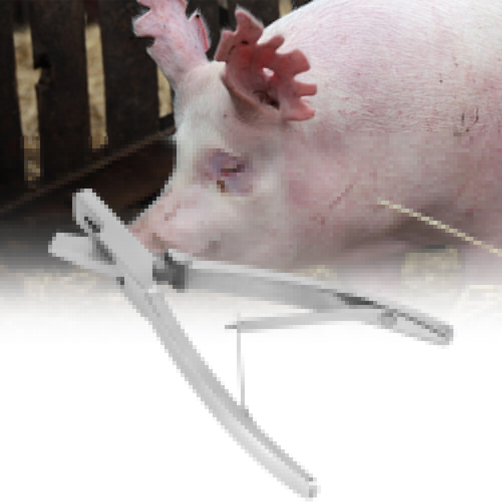 thumbnail image 1 of TAG de Orejas, alicados de etiqueta de oído de cerdo de forma u para uso agrícola para cerdos ganado, 1 of 7