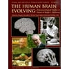 The Human Brain Evolving : Paleoneurological Studies in Honor of Ralph L. Holloway, Used [Hardcover]