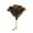 Color, variant on Darzheoy Feather Duster, Feather Dusters for Cleaning Fluffy Natural Ostrich Feathers with Wooden Handle Reusable Handheld Ostrich Feather Duster Cleaning Supplies