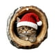 thumbnail image 2 of Colgante Decorativo Adorno navideño plano conmemorativo para mascotas, de acrílico, ideal para decorar el hogar (1 unidad). Rkxzt, 2 of 8