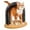 Black, variant on Cat Arch Brush Self-Cleaning Cat Toy, Interactive Grooming Scratcher With Feather Teaser, Cat Scratching Post For Hair Removal, Cat Self-Play Toy For Indoor Cats