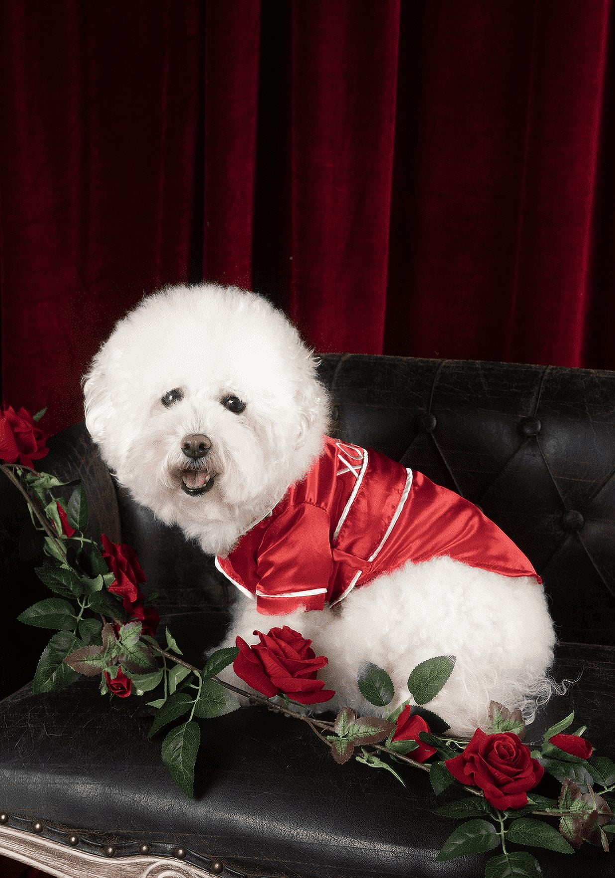 Vibrant Life Valentine's Day Pet Robe, XOXO, Red, Small