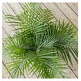 United Nursery Majesty Palm Live Plant, Outdoor and Indoor Live Palm