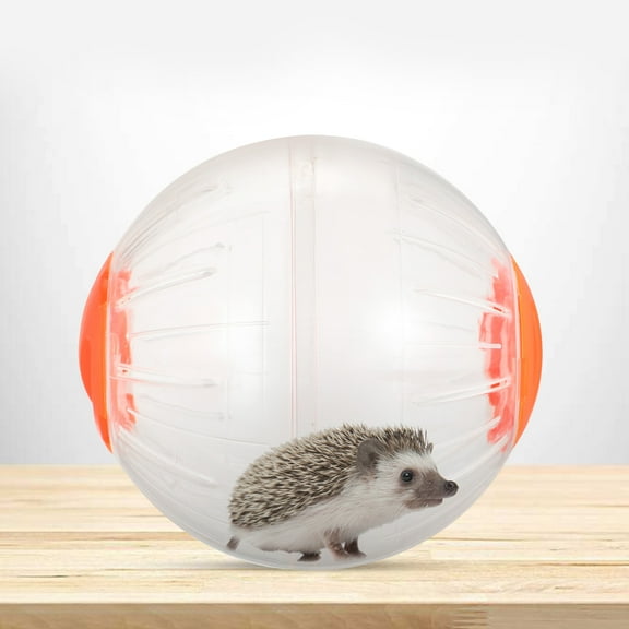 ORDDIART Hamster Exercising Toy Round Rolling Ball 1Pcs for Pet Owners Indoor and 11.8Inch