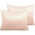 thumbnail image 1 of Zippered Satin Pillow Cases for Hair and Skin, Luxury Standard Hidden Zipper Pillowcases Set of 2, 20 x 26 Inches, Pink, 1 of 7