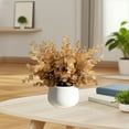 thumbnail image 6 of LmnLft Indoor Artificial Eucalyptus Plants In White Flower Pots, Small Simulation Plants For Bedroom And Home Decor, Christmas Decorations, 6 of 6