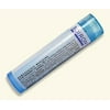 Boiron Sulphur lodaturn 1M 80 Pellet