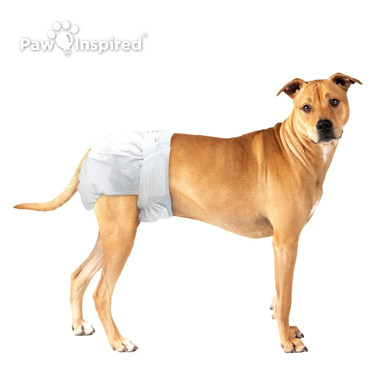 Dog diapers that stay on 2025