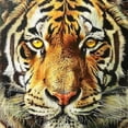 thumbnail image 6 of WYYP Tiger Yellow Eyes Round Table Cover 100% Polyester Fiber with Elastic Edge White, 6 of 8