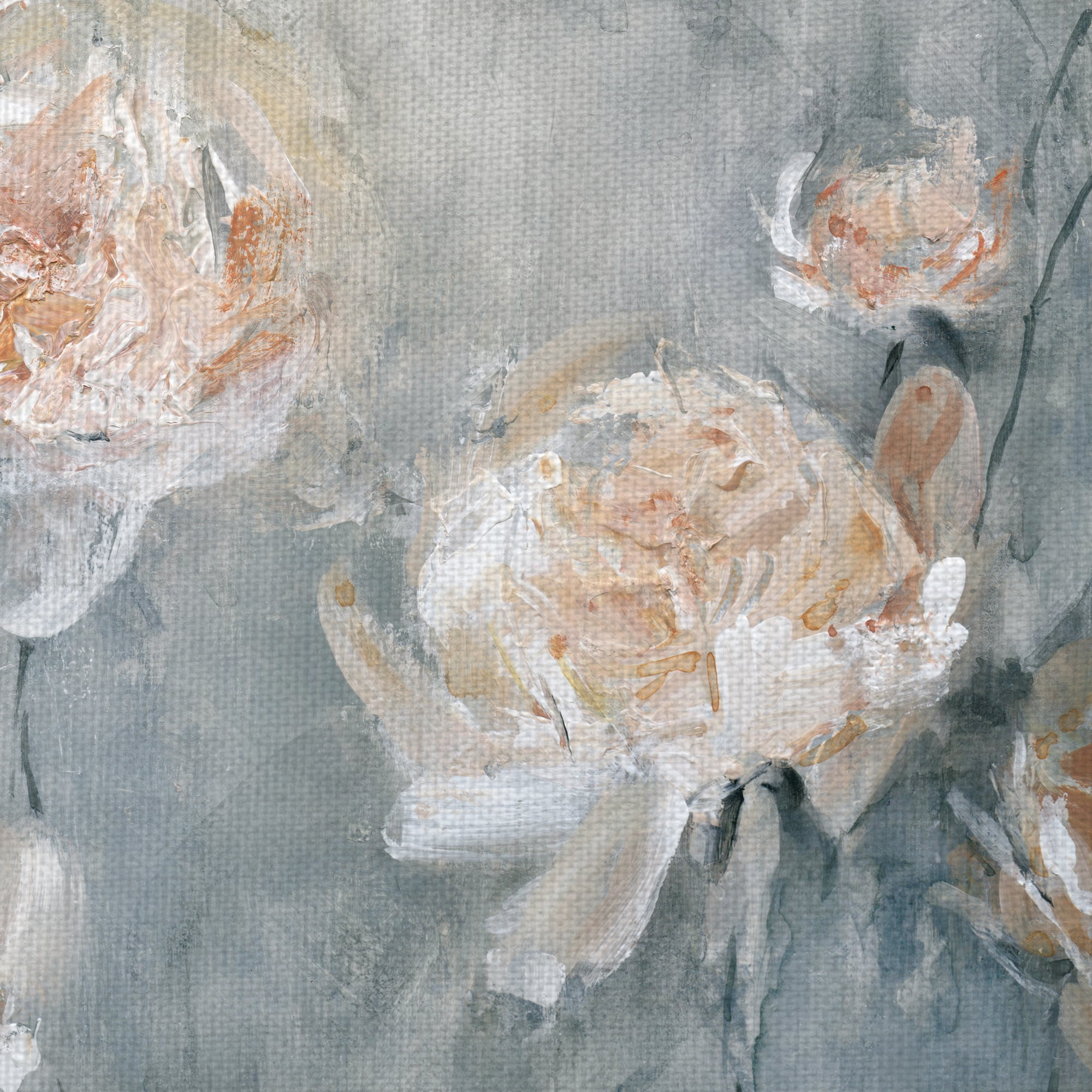 Fine Art Canvas Rose Mist on Gray by Carol Robinson Canvas Art Print