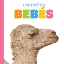 Camellos BebÃ©s, (Paperback)